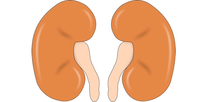 Kidney Cancer: Prevent & Diagnose Early