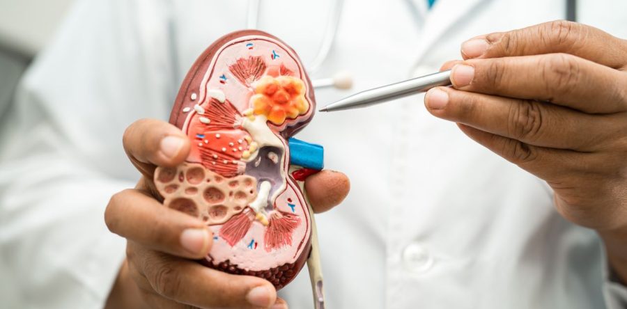 How Do You Know if Diabetes Is Affecting Your Kidneys or Bladder?